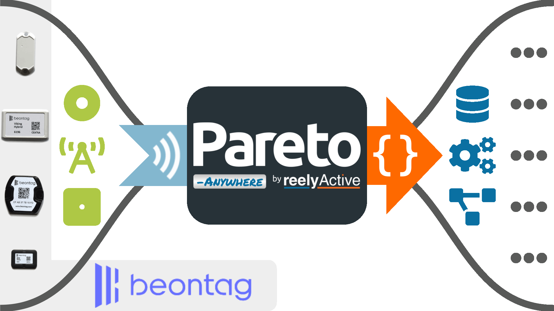 Pareto Anywhere & Beontag tags