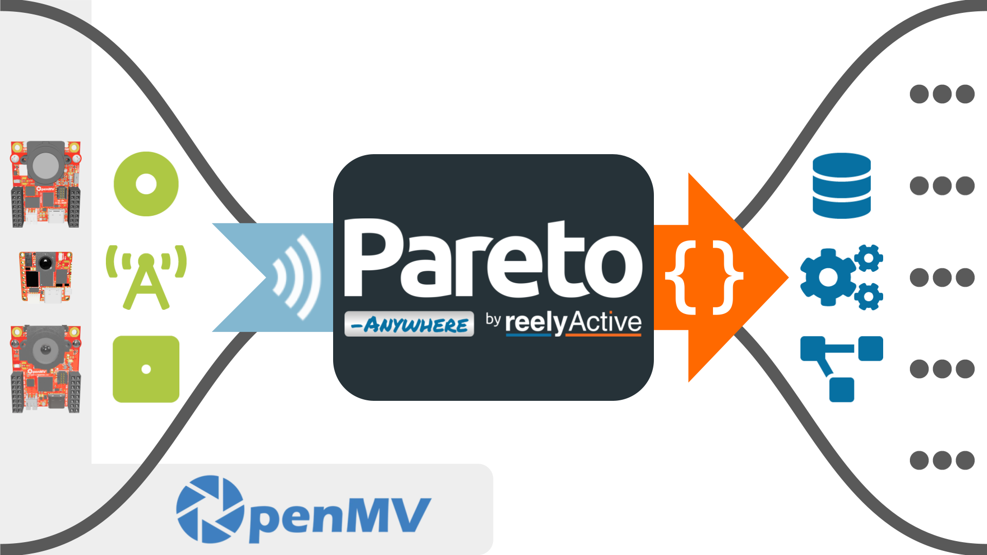 Pareto Anywhere & OpemMV cameras